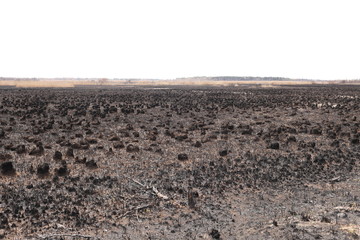 Effects of grass fire on soils. Charred grass after a spring fire. Black surface of the rural field with a burned grass. Consequences of arson and stubble burning. Aftermath of Natural Disasters.