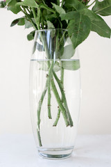 A bouquet of flowers in a clear glass vase