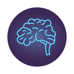 brain human organ neon style icon