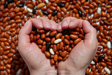 Different types of beans, brown, black, spotted in the hands of a woman in the shape of a heart.