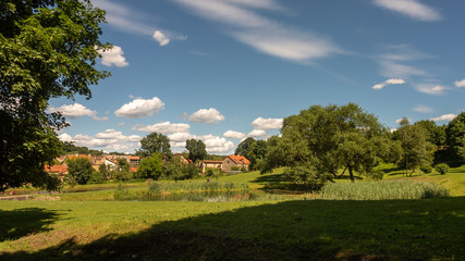 Fototapeta na wymiar Green park, pond and buildings in the distance under a blue sky