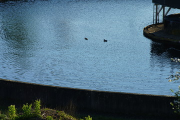 umwelt, natur, schutz, umweltschutz, naturschutz, ökologie, recycling, nachhaltigkeit,...