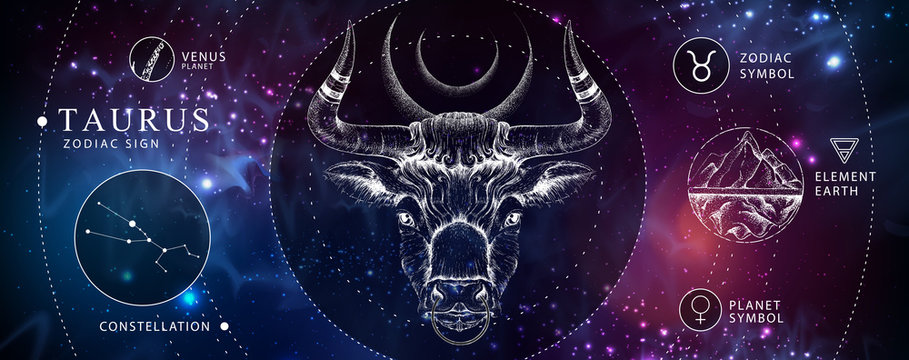 Modern magic witchcraft card with astrology Taurus zodiac sign. Realistic hand drawing bull head. Zodiac characteristic