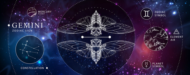 Modern magic witchcraft card with astrology Gemini zodiac sign. Realistic hand drawing butterfly or cicada illustration. Zodiac characteristic
