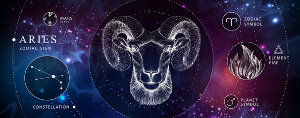Modern magic witchcraft card with astrology Aries zodiac sign. Realistic hand drawing ram or mouflon head. Zodiac characteristic - obrazy, fototapety, plakaty