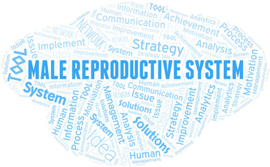 Male Reproductive System typography vector word cloud.