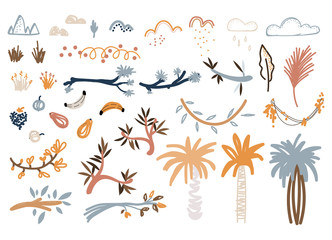 Hand drawn plants and florals botanical objects vector illustration set.