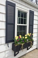 window with flower box in spring