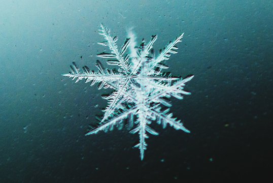 Close-up Of Snowflakes On Glass
