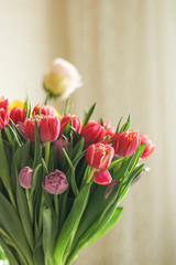 bouquet of tulips