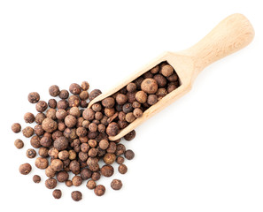 Dry allspice in a wooden spatula on a white background. The view from top