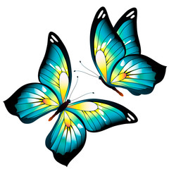 Obraz na płótnie Canvas butterfly560