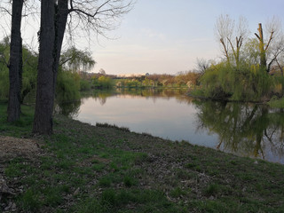 trees and lake and sun in a park