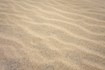 Fototapeta na wymiar Sand detail on Ponta preta beach in Santa Maria, Sal Island, Cape Verde