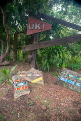 GOLD COAST, AUSTRALIA - January 20, 2020: Nature around Uki nearby Gold Coast, Australia. Australia is a continent located in the south part of the earth.
