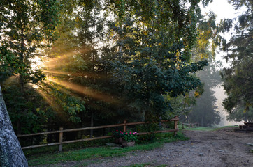 Poranne promienie słońca, sunrise