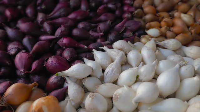 large assortment of onions closeup