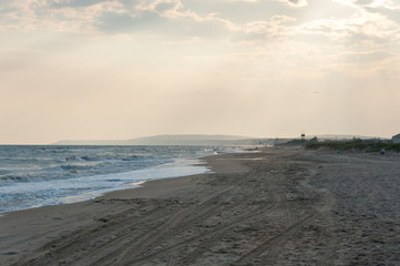 the flight of a Seagull over a sandy beach lit by the setting sun