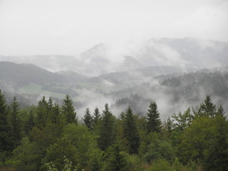 Obraz premium fog in the mountains