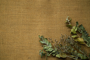 Dried roses and dry rose leaves lie on burlap background