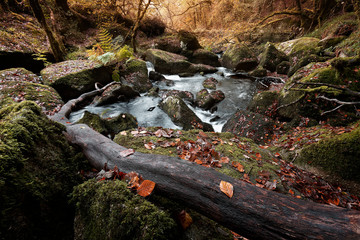 Cascade automne Huelgoat