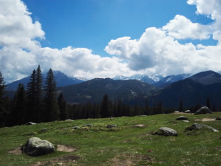 Poland Tatras Rusinowa Polana. Mountain landscape with blue sky © Tomek