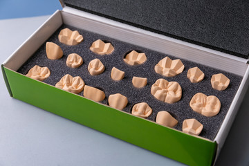 Denture layout. Enlarged models of human teeth are in a special box. Dental laboratory, implantation