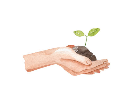 Female hands holding a green sprout. Garden watercolor illustration isolated on white background, hand drawn clipart. Human body fragment.