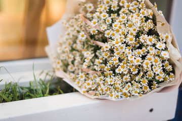 bouquet of wthite daisies