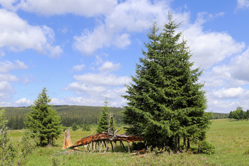 Landscape view in the Sumava National Park