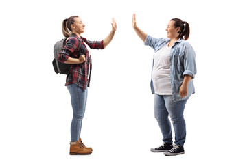Fototapeta premium Casual female friends gesturing high-five