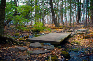 Sleeping Beauty Mountain Lake George Upstate New York Hiking