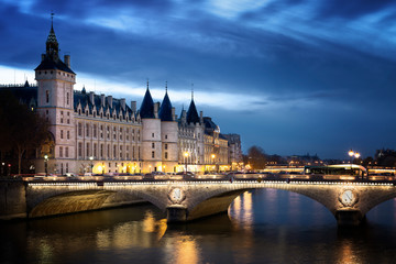 Fototapeta na wymiar Paris la Seine