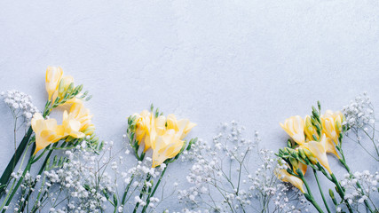 Yellow freesia flowers on concrete background. Easter background or greeting card with gypsophila and freesia