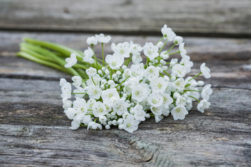 White little spring flowers on a wooden table