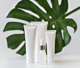 Cosmetics packaging.Natural beauty spa product concept.Mock-up.