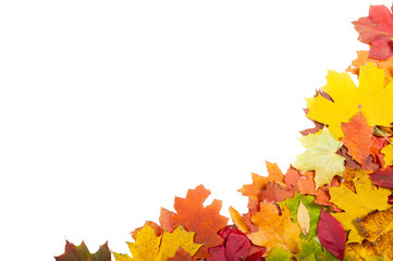 Naklejka na ściany i meble Orange, yellow and green autumn leaves isolated on white background