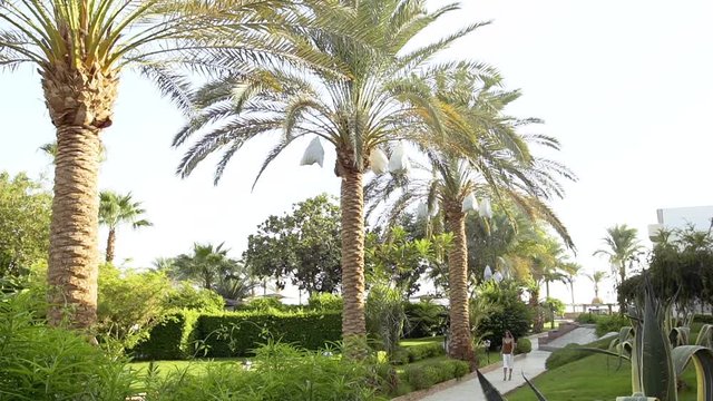 Girl walks near palm trees by the sea