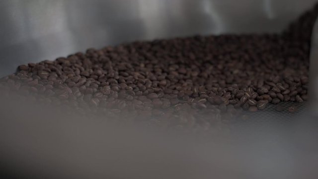 Coffee beans cooling in a roasters drum. Freshly light roasted arabica coffee.