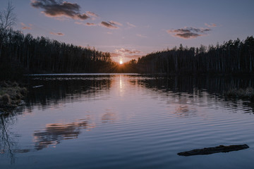 Obraz na płótnie Canvas Forest lake
