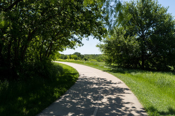 Concrete path in a city park on a sunny spring day.