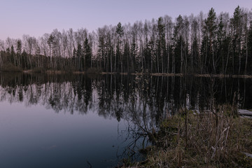 Forest lake