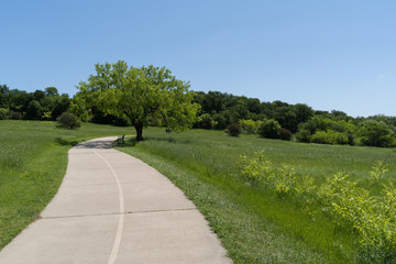 Concrete path in a city park on a sunny spring day.