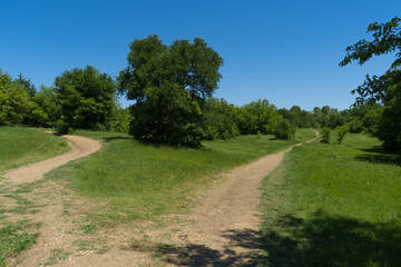 Fototapeta na wymiar Dirt track in a city park on a sunny spring day.