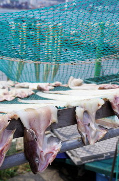 Getrockneter Fisch