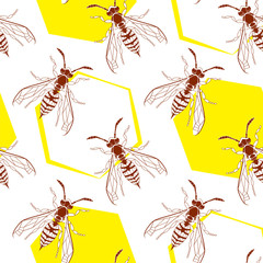 Wasp geometric insect seamless pattern. Dangerous design for textile, fabric texture. Yellow bugs isolated on white background. Vector Bumblebee drawing tile. Wild Nature graphic print