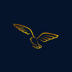 Seagull logo design. Awesome seagull logo. A seagull logotype.