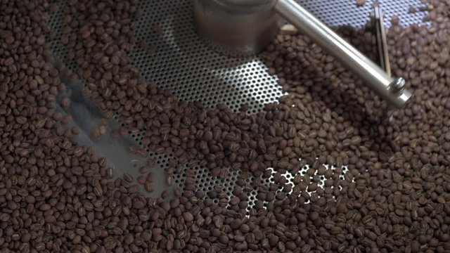 Coffee beans cooling in a roasters drum. Freshly light roasted arabica coffee.