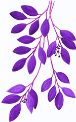 Illustration of purpule branch