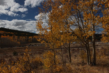 Autumn in the mountains